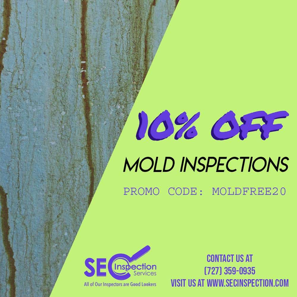 April SEC Mold Inspection Tampa FL Promo
