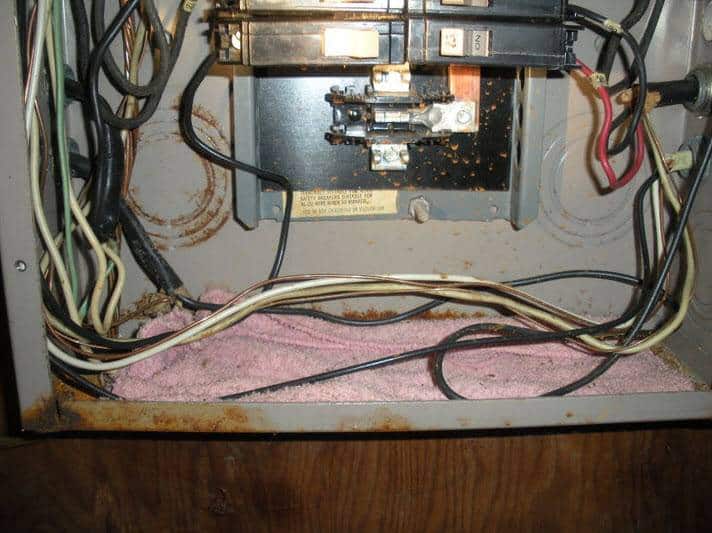 Aluminum Wiring Safety Tampa FL