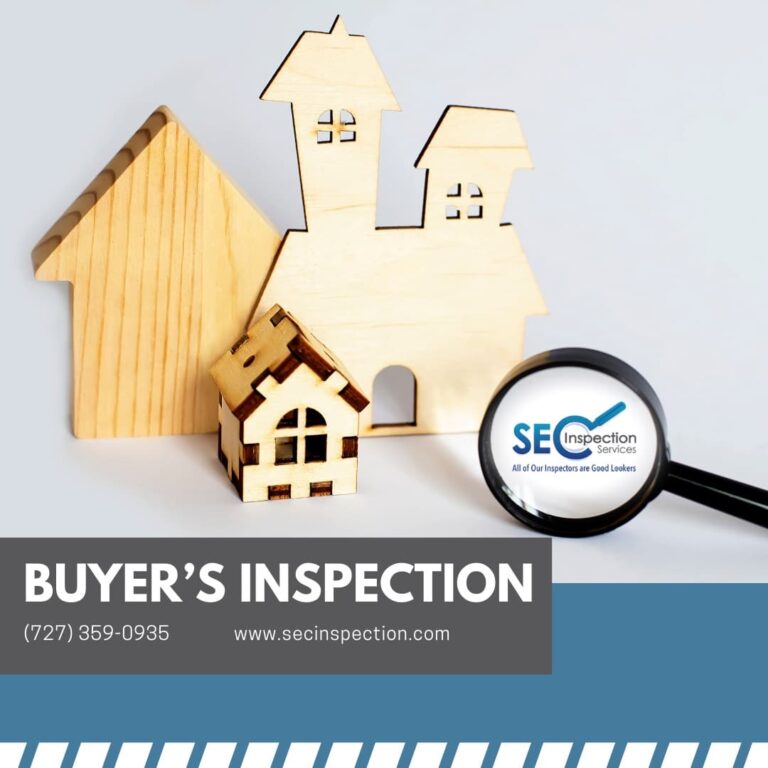 Tampa Florida Buyer's Inspection