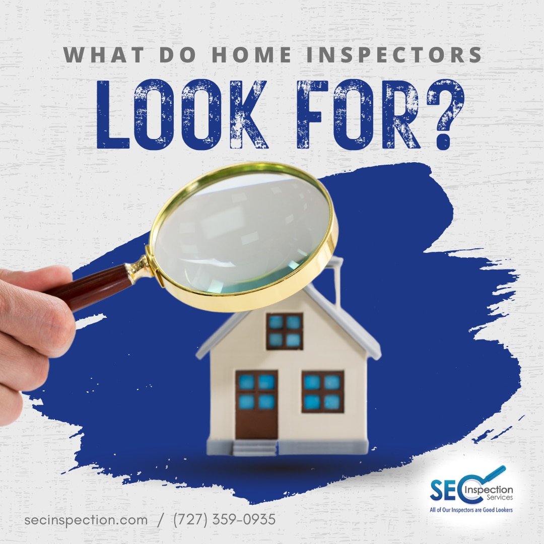 What Do Home Inspectors Look For?