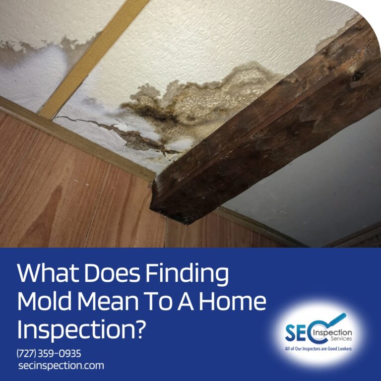 What Does Finding Mold Mean To A Home Inspection?