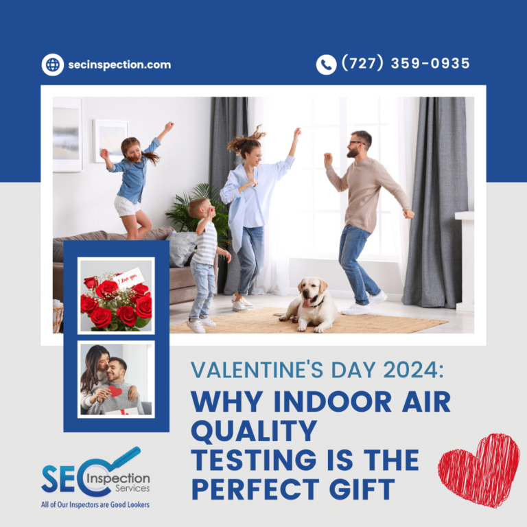 Valentine’s Day 2024: Why Indoor Air Quality Testing Is The Perfect Gift