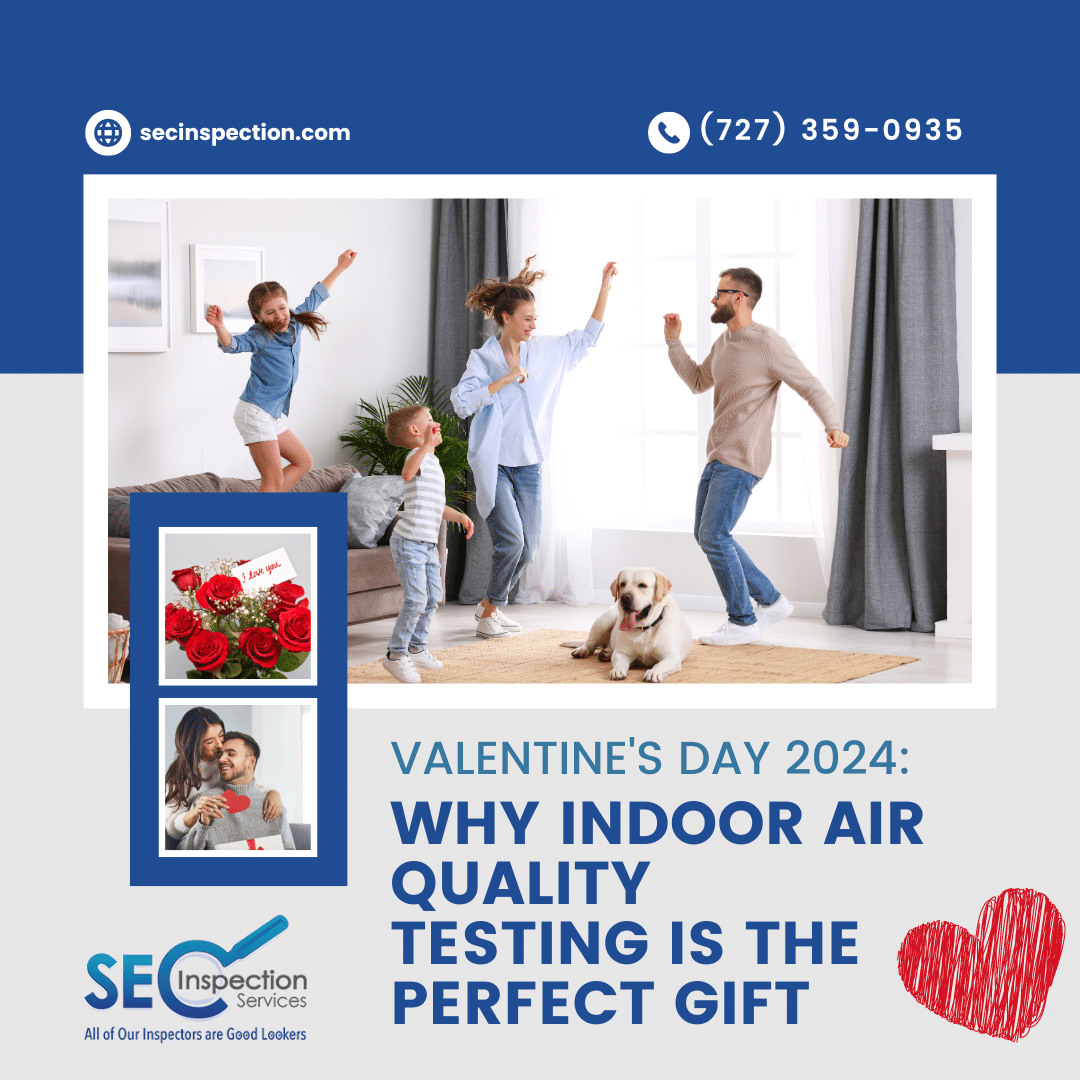 Valentine’s Day 2024: Why Indoor Air Quality Testing Is The Perfect Gift